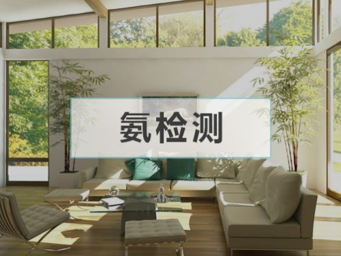 氨濃度檢測(cè)